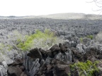 tsingy-volcanic (187 KB)