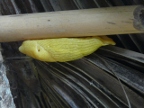 slug (189 KB)