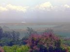 view (235 KB)