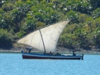 lateen (218 KB)