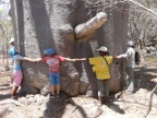 Sacred-Baobab (210 KB)