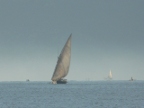 Misty (130 KB)