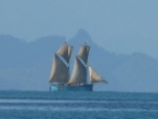topsails (129 KB)