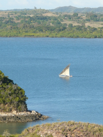local-sail