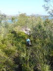 trail (124 KB)