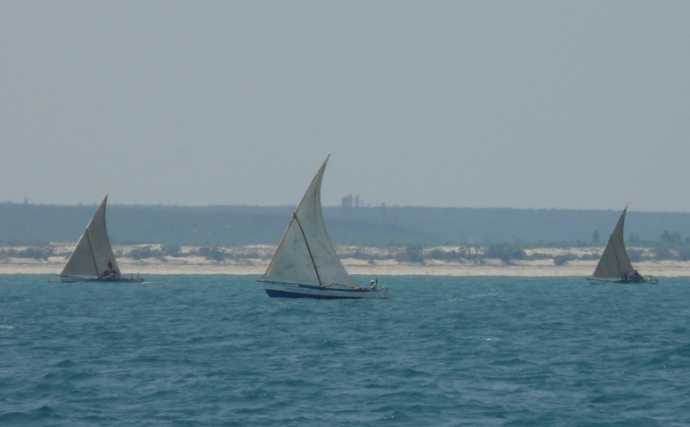 ThreeSails