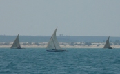 ThreeSails (176 KB)