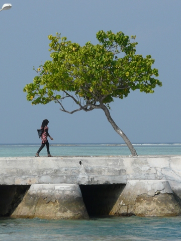 causeway
