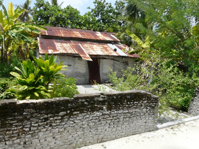 coral-walls