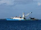 Purse Seiner.JPG (40 KB)
