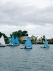 Race Canoes.JPG (49 KB)