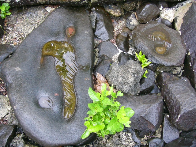 Nan Douwas Sakau Stones