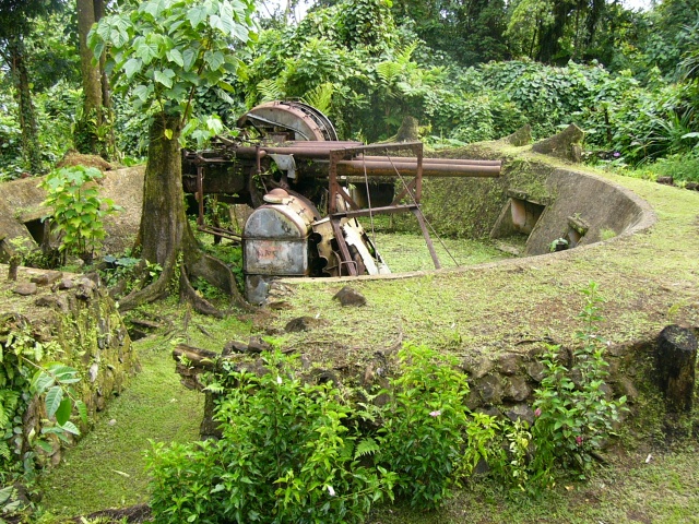 Japanese Gun