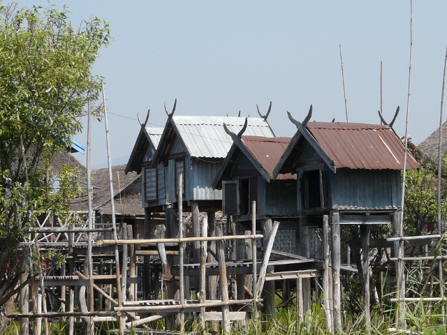 Nat Houses