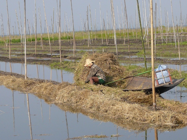 building islands