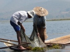 Checking Dip Net.JPG (185 KB)