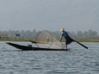 Conical Net.JPG (169 KB)