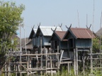 NatHouses.JPG (178 KB)
