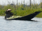 Paddling Bitter Gourds.JPG (181 KB)