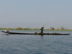 gathering seaweed.JPG (162 KB)
