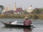 paddling home.JPG (207 KB)