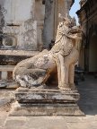 Lion.JPG (190 KB)