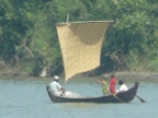 sailing.JPG (148 KB)