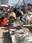 dried fish.JPG (120 KB)