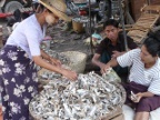 dried fish.JPG (205 KB)