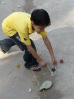 spinningtop.JPG (116 KB)
