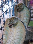nagas (117 KB)