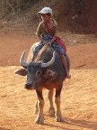 Boy Rider (120 KB)