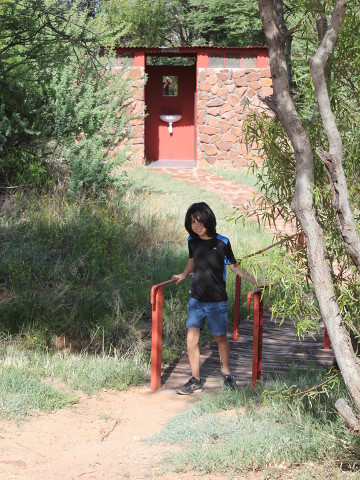 Ant-toilet-byJen