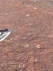 Small-tracks