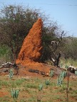 Anthill (96 KB)