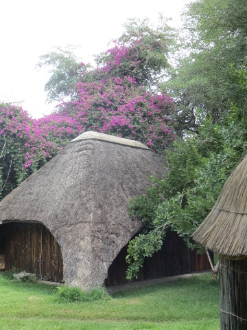 Resort