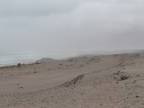 Foggy (92 KB)