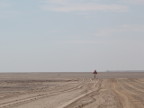 Road-byJen (49 KB)