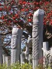 Posts (96 KB)