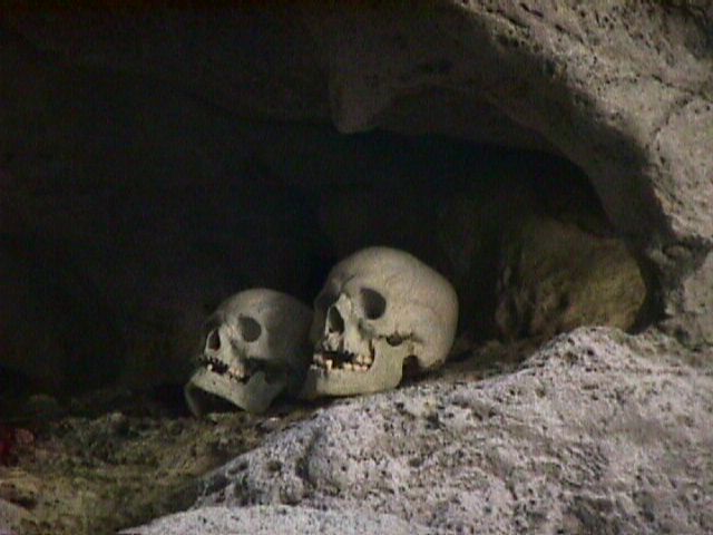 Skulls