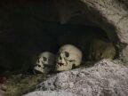 Skulls (46 KB)