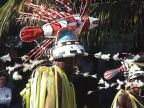 Fish Hat (72 KB)
