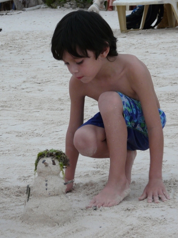 AntSandman