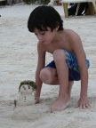AntSandman.JPG (59 KB)