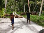 Coconut Carriers (76 KB)