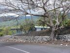 Jacinta house (76 KB)