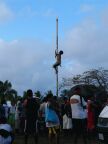 Pole (43 KB)