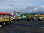Buses (44 KB)