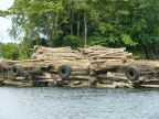 LoggingWharf (93 KB)