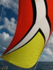 Spinnaker (49 KB)